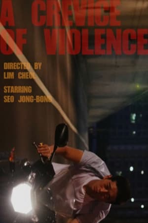 Poster A Crevice of Violence 2015