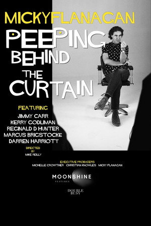 Micky Flanagan: Peeping Behind the Curtain 6