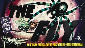 The Fly