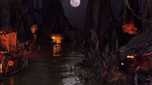 Le chant des grenouilles