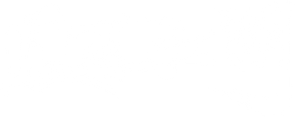Phoenix Lands in the World — Logos 2
