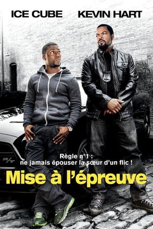 Mise à l'épreuve (2014)