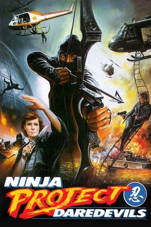 Poster Ninja Project Daredevils 1985