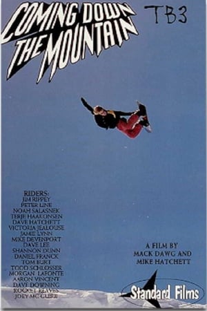 Poster TB3 - Coming Down The Mountain (1993)