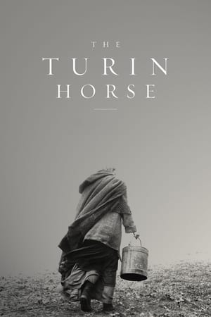 The Turin Horse cover