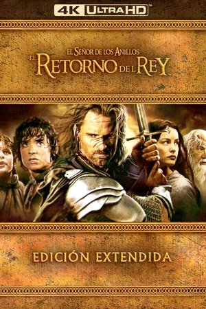 poster The Lord of the Rings: The Return of the King