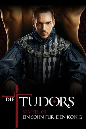 Die Tudors: Ein Sohn für den König