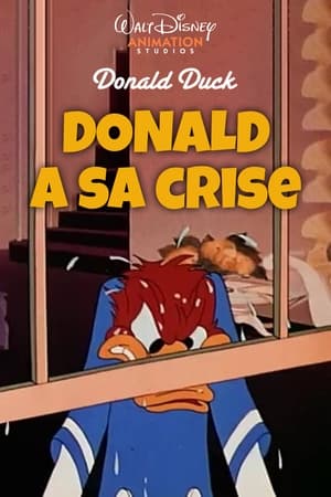 Image Donald a sa Crise