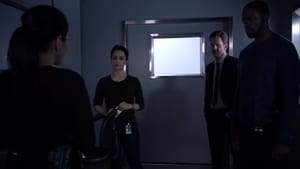 Blindspot 2×8