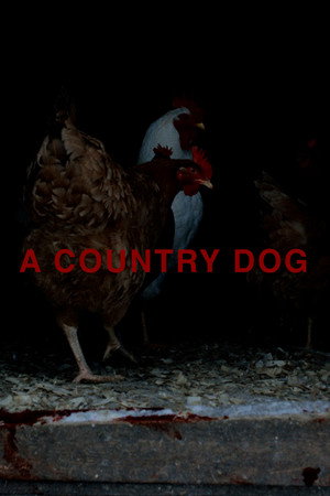A Country Dog