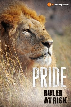 Poster La Vie privée des lions 2016