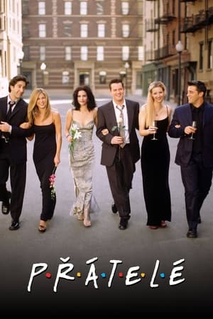 Poster Přátelé 6. sezóna Nabídka k sňatku 2000