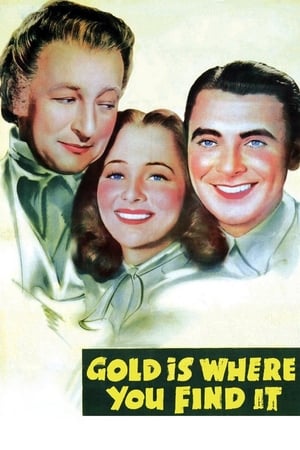 Poster Gold Is Where You Find It (1938)