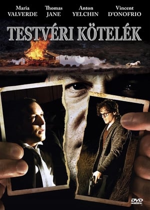 Testvéri kötelék