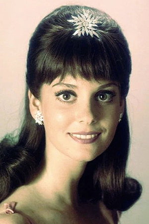 Lesley Ann Warren