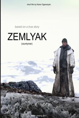 Poster Zemlyak (2010)