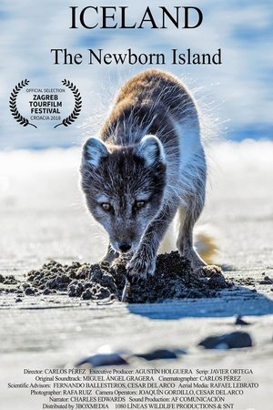 Nonton film Iceland, the newborn island (2018) terbaru sub indo Nonton film Iceland, the newborn island (2018) terbaru sub indo
