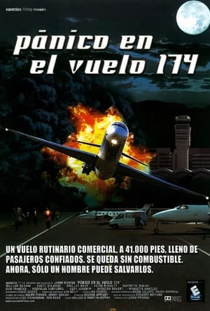 Poster Pánico en el vuelo 174 1995
