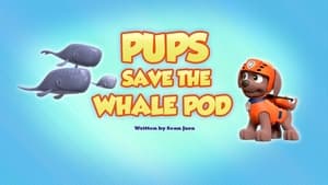 Image Pups Save the Whale Pod