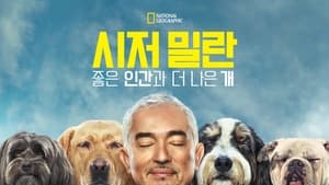 poster Cesar Millan: Better Human, Better Dog