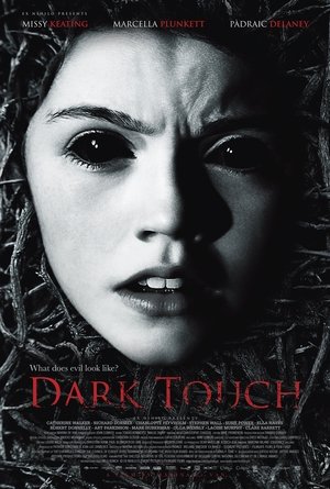 Click for trailer, plot details and rating of Dark Touch (2013)