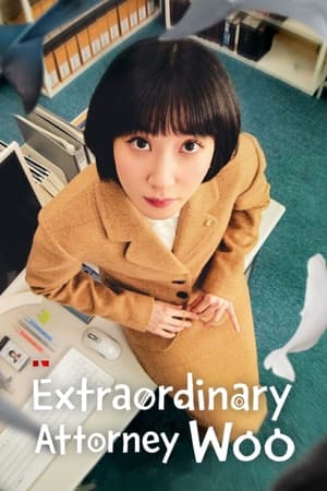 poster Extraordinary Attorney Woo - Season 1