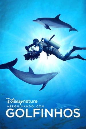 Diving with Dolphins 2020