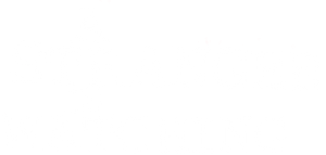 A Stranger Is Watching