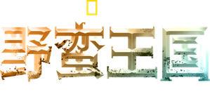 Império Selvagem — Logos 5