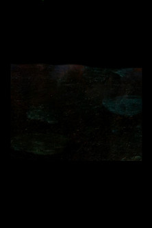 Novembre (Le ninfee)