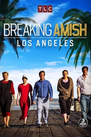 Breaking Amish: Seizoen 3
