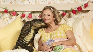 At Home with Amy Sedaris