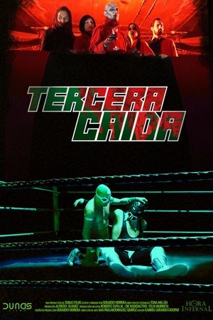 Tercera caída