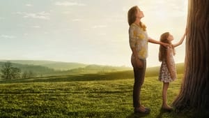 Miracles from Heaven 2016