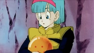 S02E20 Buena suerte, Bulma