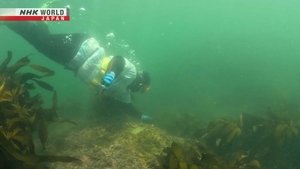 Journeys in Japan: 15×17