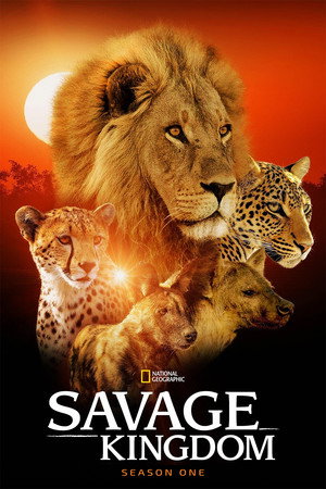 Staffel 1