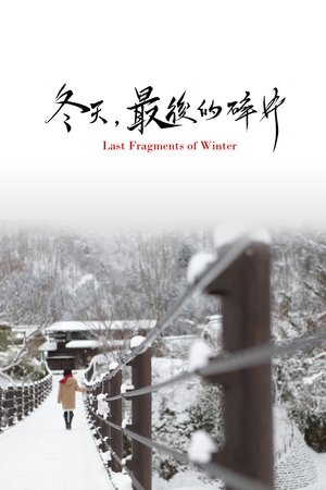 Poster Last Fragments of Winter (2011)