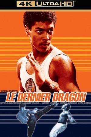 Image Le Dernier Dragon