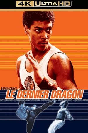 Poster Le Dernier Dragon 1985