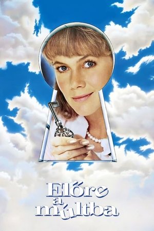 Image Előre a múltba