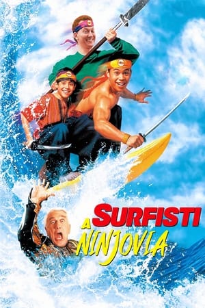 Poster Surfisti a ninjovia 1993