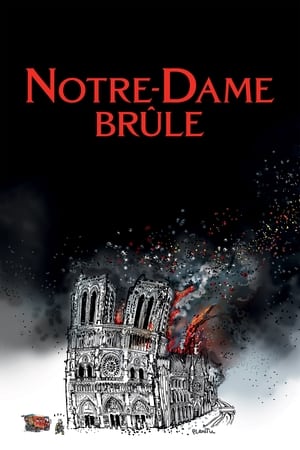Poster Notre-Dame brûle 2022