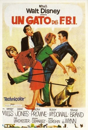 Poster Un gato del FBI 1965