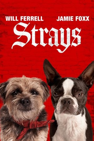 <Images posters