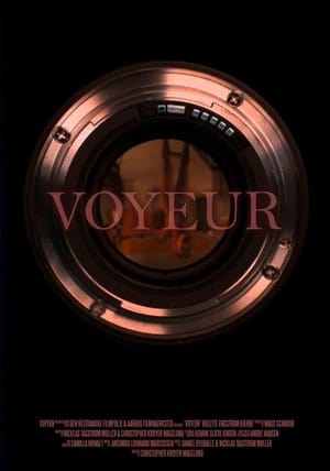 Poster Voyeur (2016)