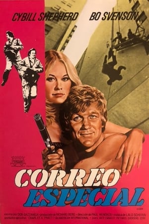 Poster Correo especial 1976