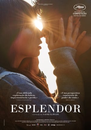 Poster Esplendor 2017