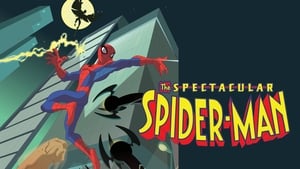 Aventurile lui Spider-Man (2008) – Dublat în Română