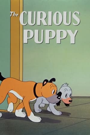 Poster The Curious Puppy 1939
